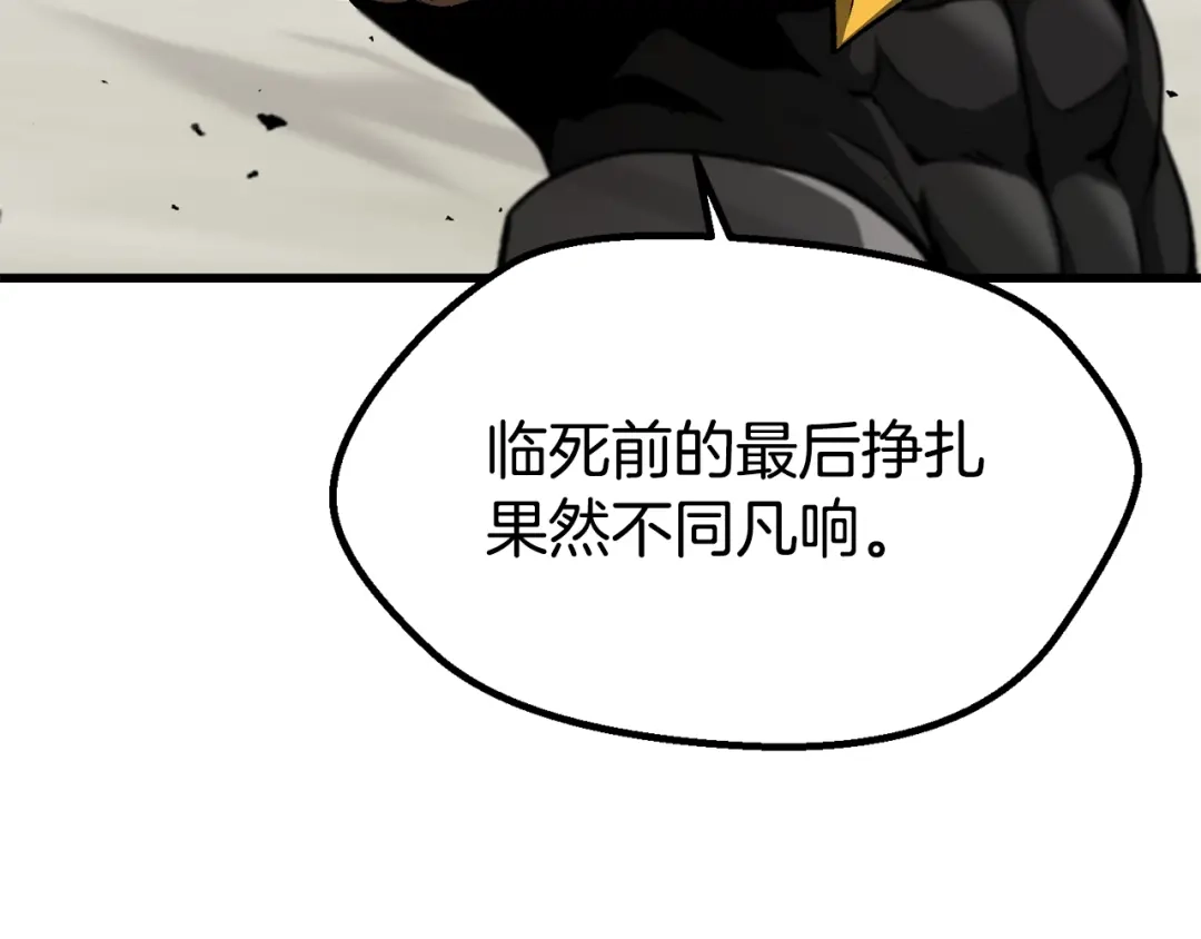 240.jpg
