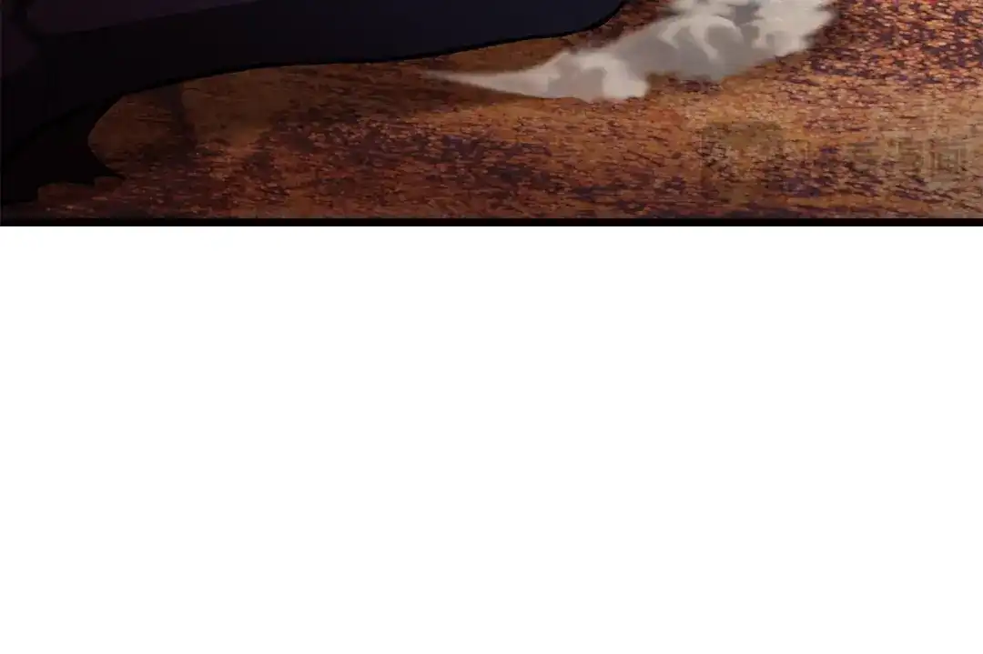 274.jpg