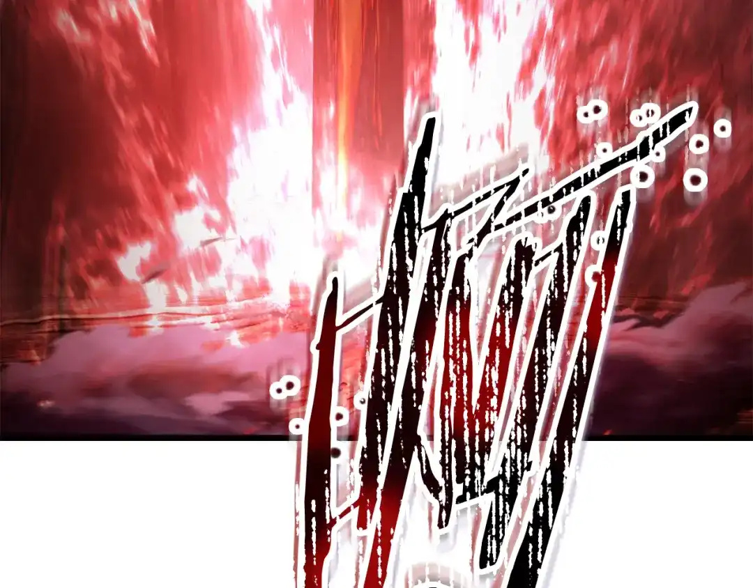 271.jpg