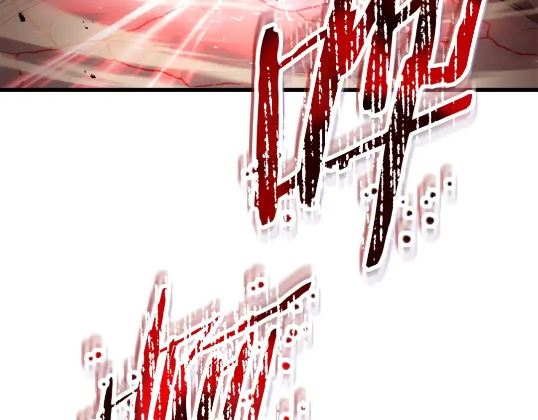 266.jpg