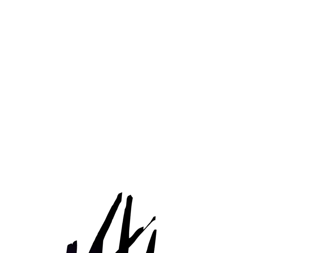 95.jpg