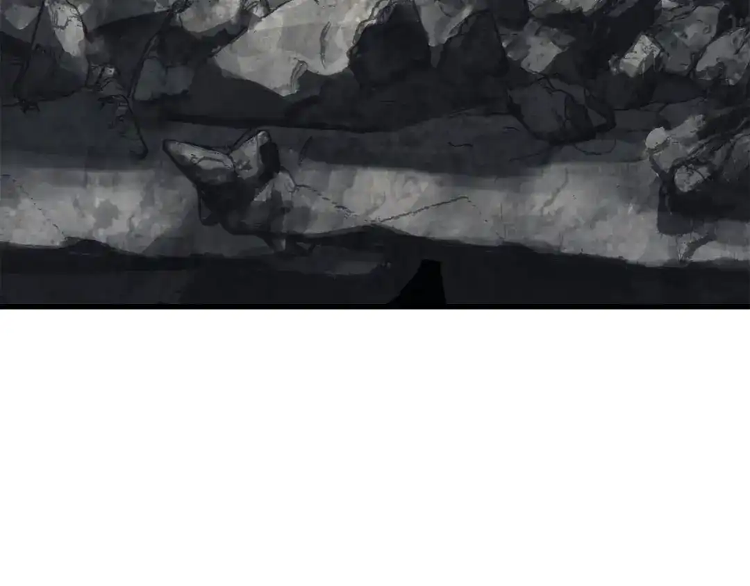 323.jpg