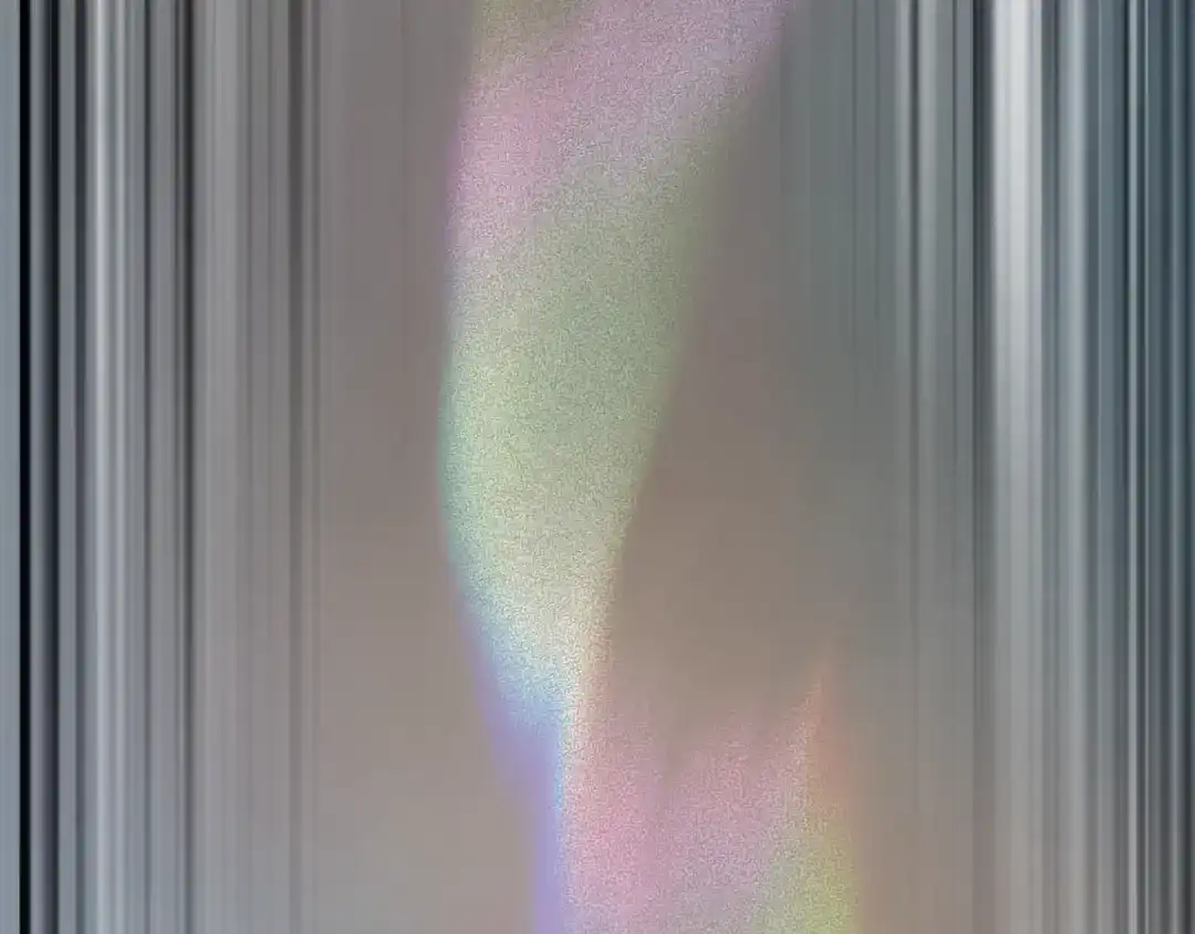 296.jpg