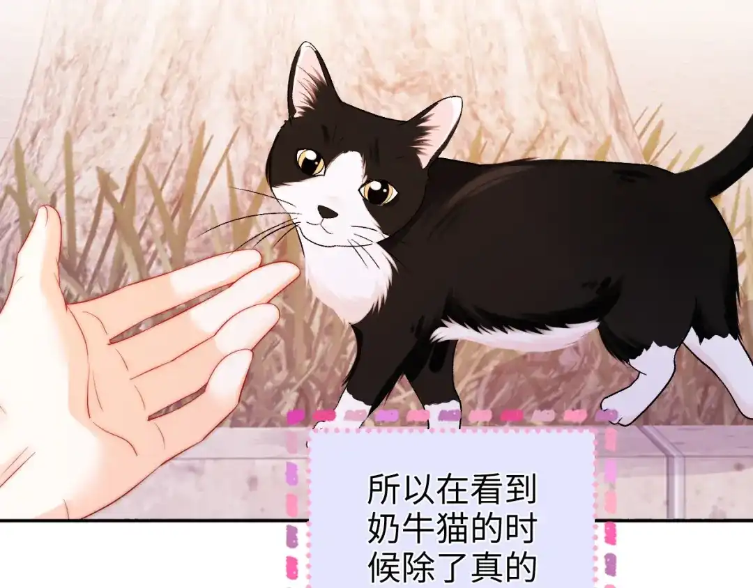 《帮我拍拍》第37话 于舟没有等过我 第30页