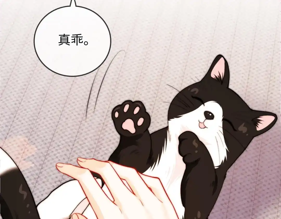 《帮我拍拍》第40话 喜欢被你打扰 第51页