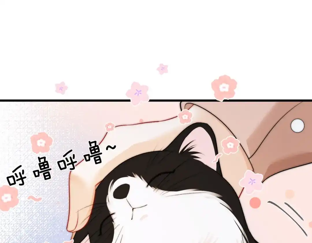 《帮我拍拍》第40话 喜欢被你打扰 第38页