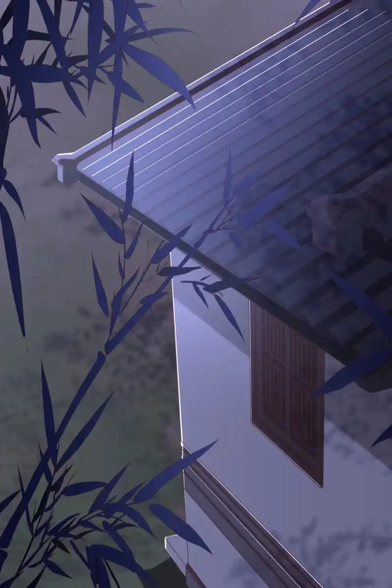 《半妖王妃》引蛇出洞，性命攸关 第14页