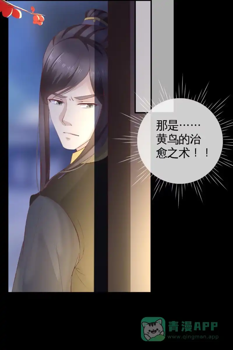 《半妖王妃》锦桃赶来 第26页
