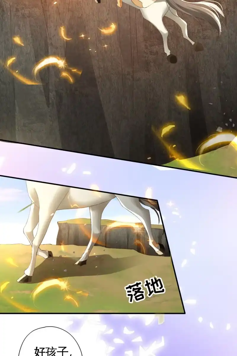 《半妖王妃》黄鸟血脉暴露 第30页