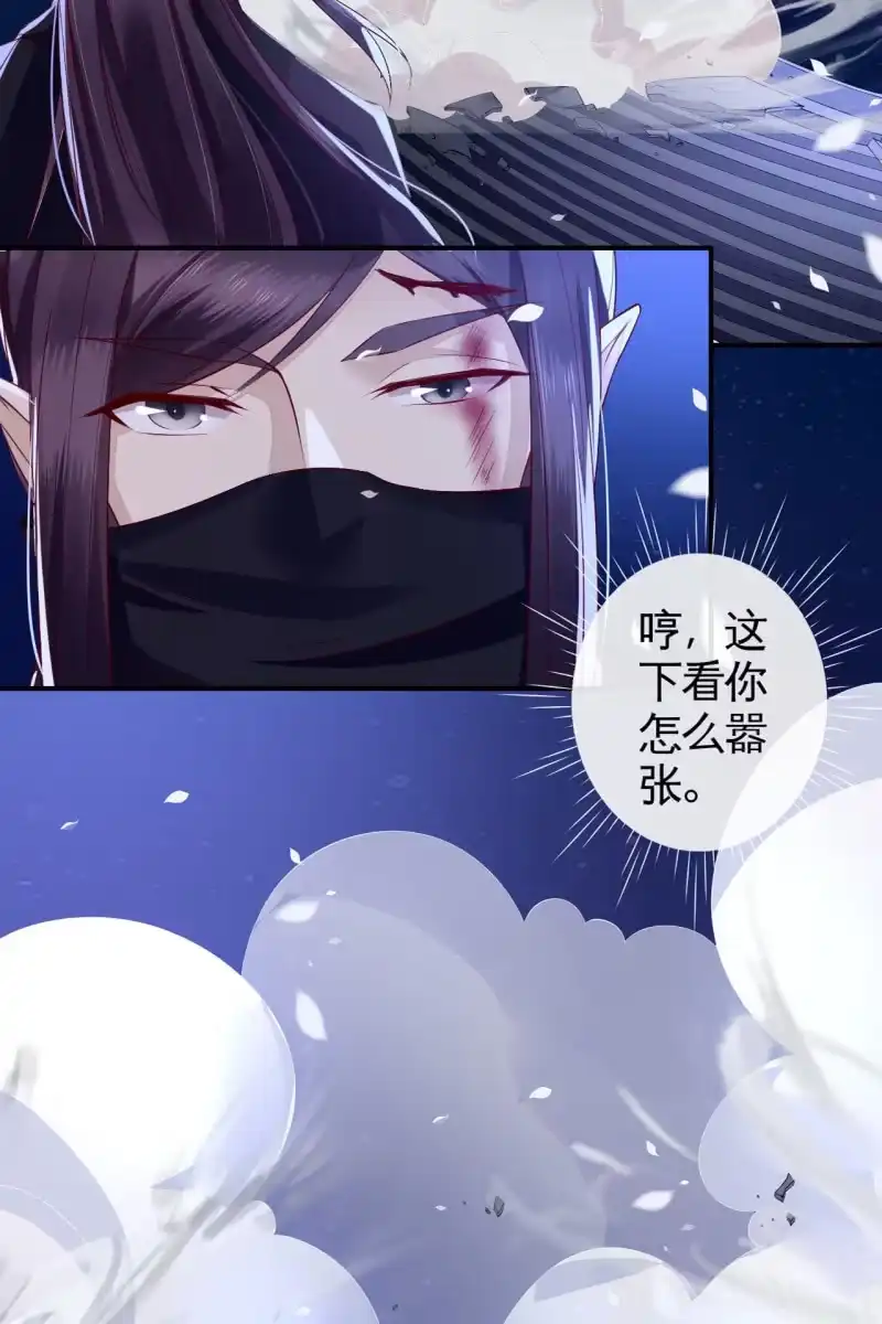 《半妖王妃》妖族突袭 第32页