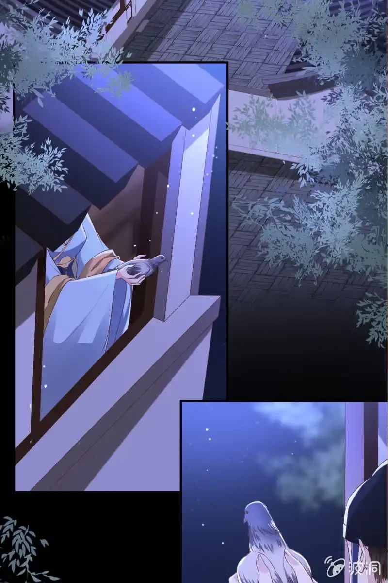 《半妖王妃》局势复杂 第25页