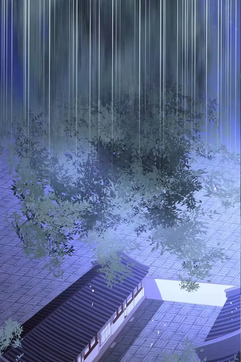 《半妖王妃》局势复杂 第24页