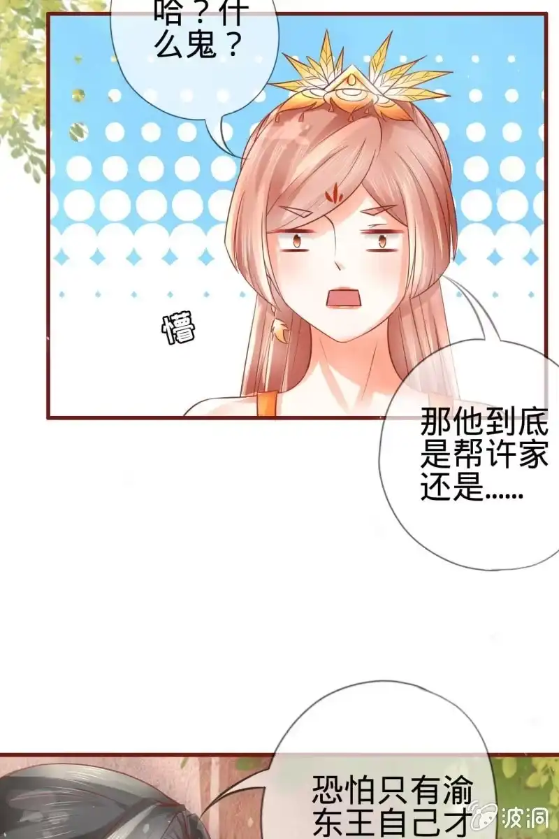 《半妖王妃》身世之迷 第33页