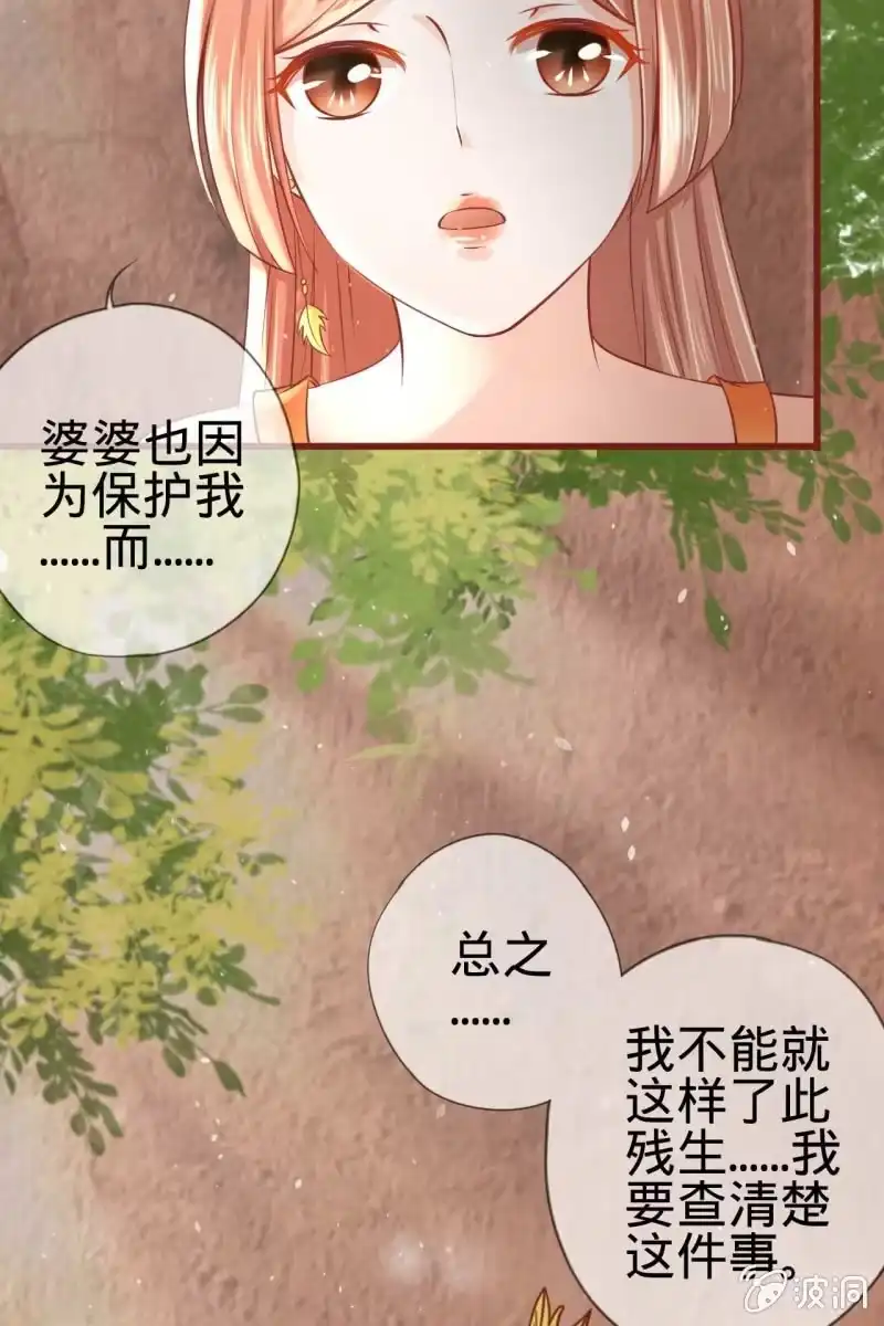 《半妖王妃》身世之迷 第23页