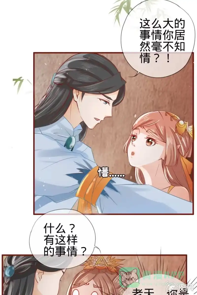 《半妖王妃》身世之迷 第16页