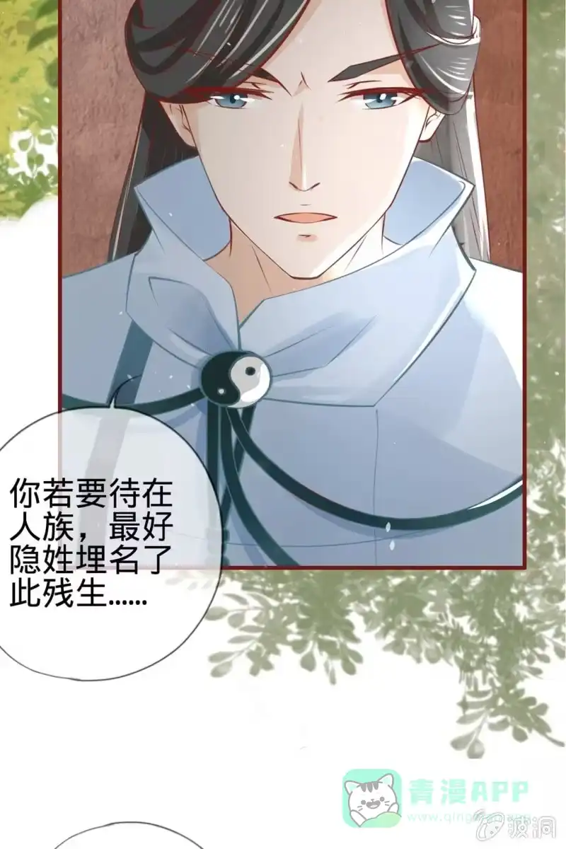 《半妖王妃》身世之迷 第21页