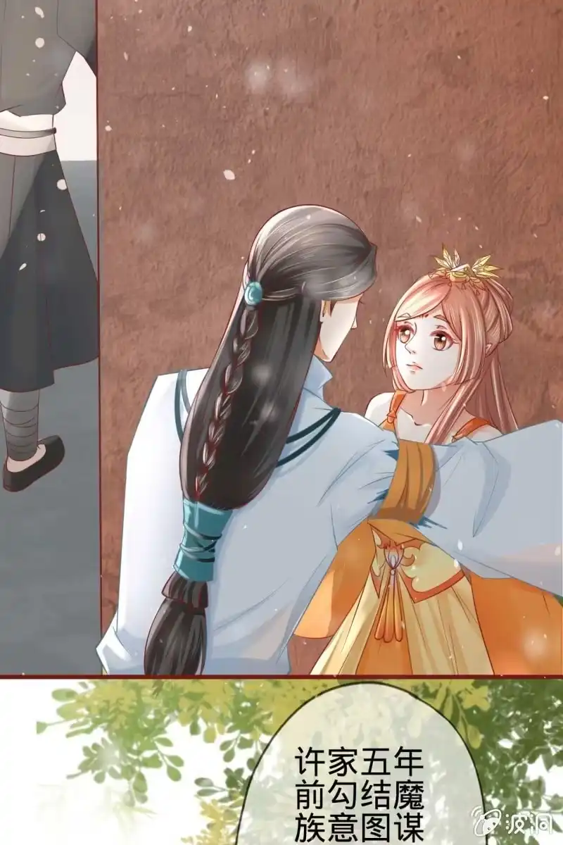《半妖王妃》身世之迷 第14页