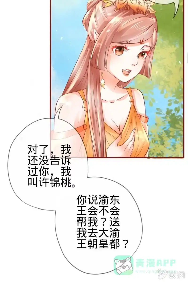 《半妖王妃》身世之迷 第11页
