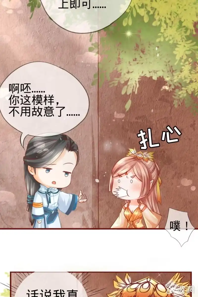 《半妖王妃》身世之迷 第35页