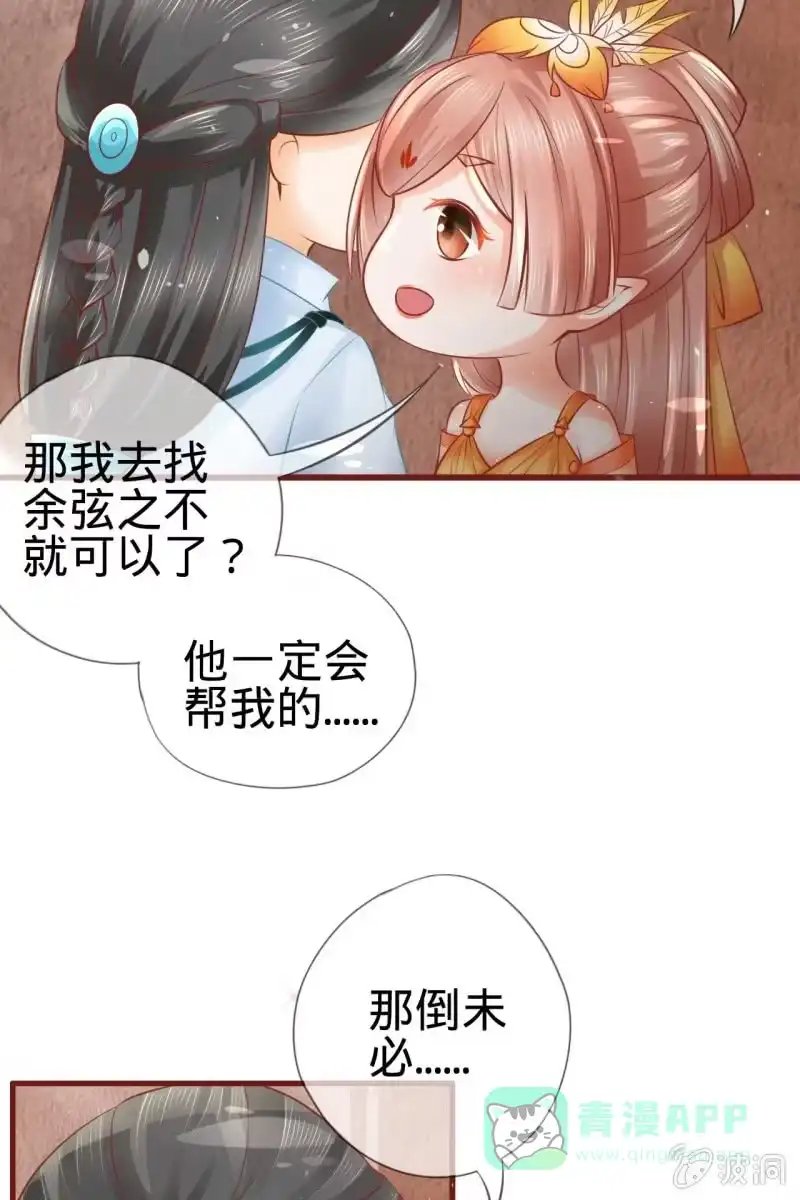 《半妖王妃》身世之迷 第31页
