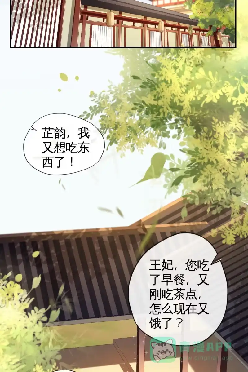 《半妖王妃》王妃怀孕了！？ 第11页