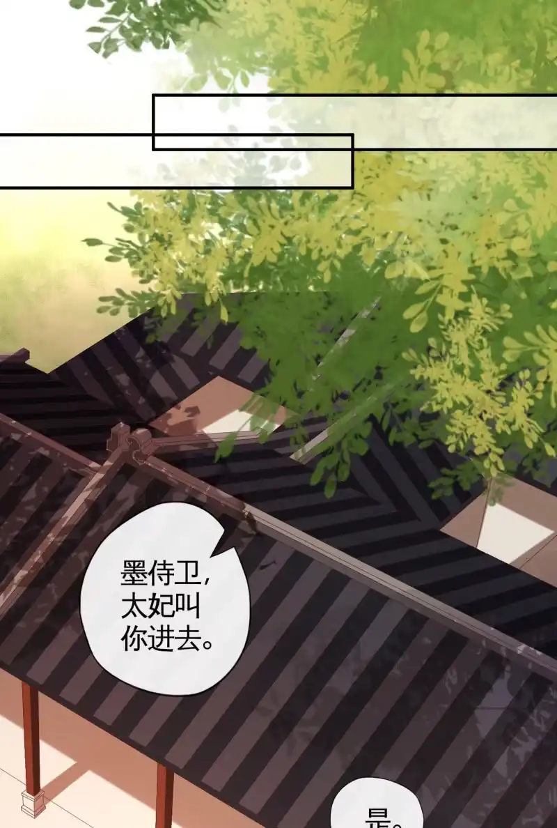 《半妖王妃》怀孕了要宠着！ 第24页