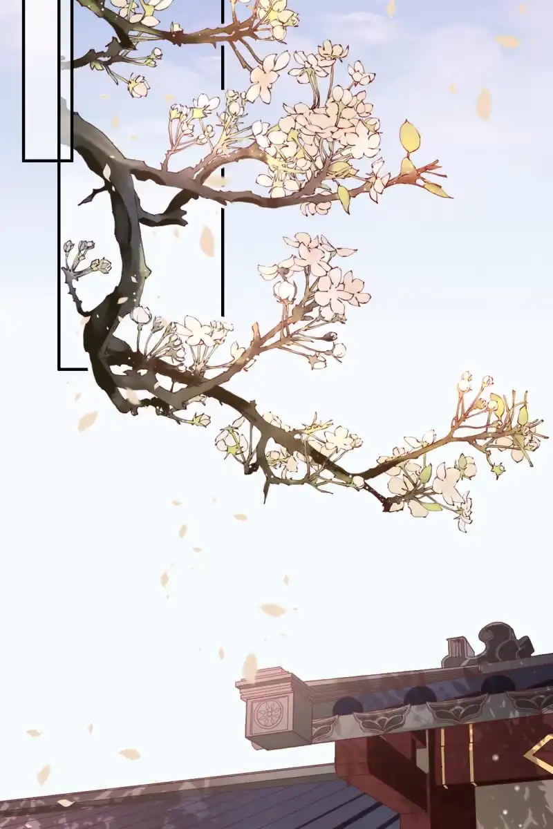 《半妖王妃》怀孕了要宠着！ 第3页