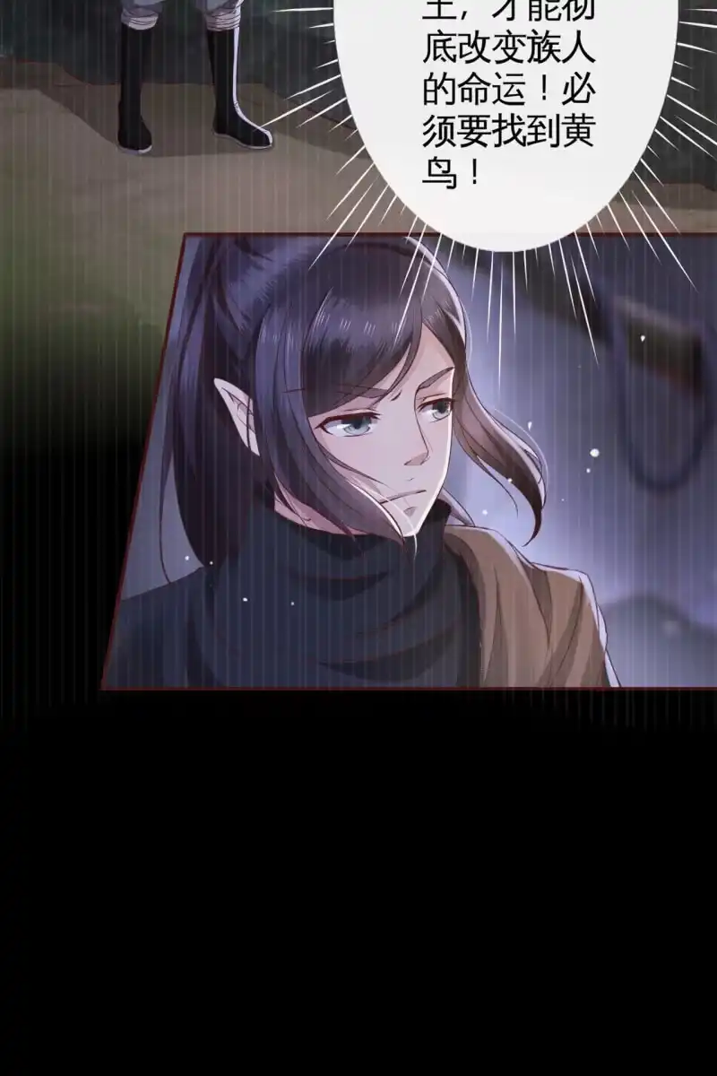 《半妖王妃》阿轩要搞事？！ 第30页