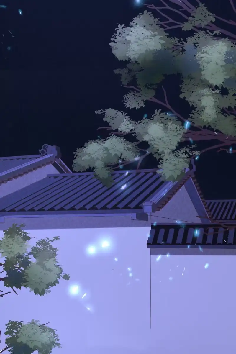 《半妖王妃》阿轩要搞事？！ 第4页