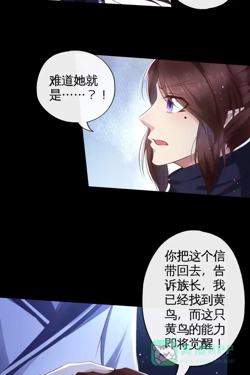《半妖王妃》情报泄露？！ 第11页