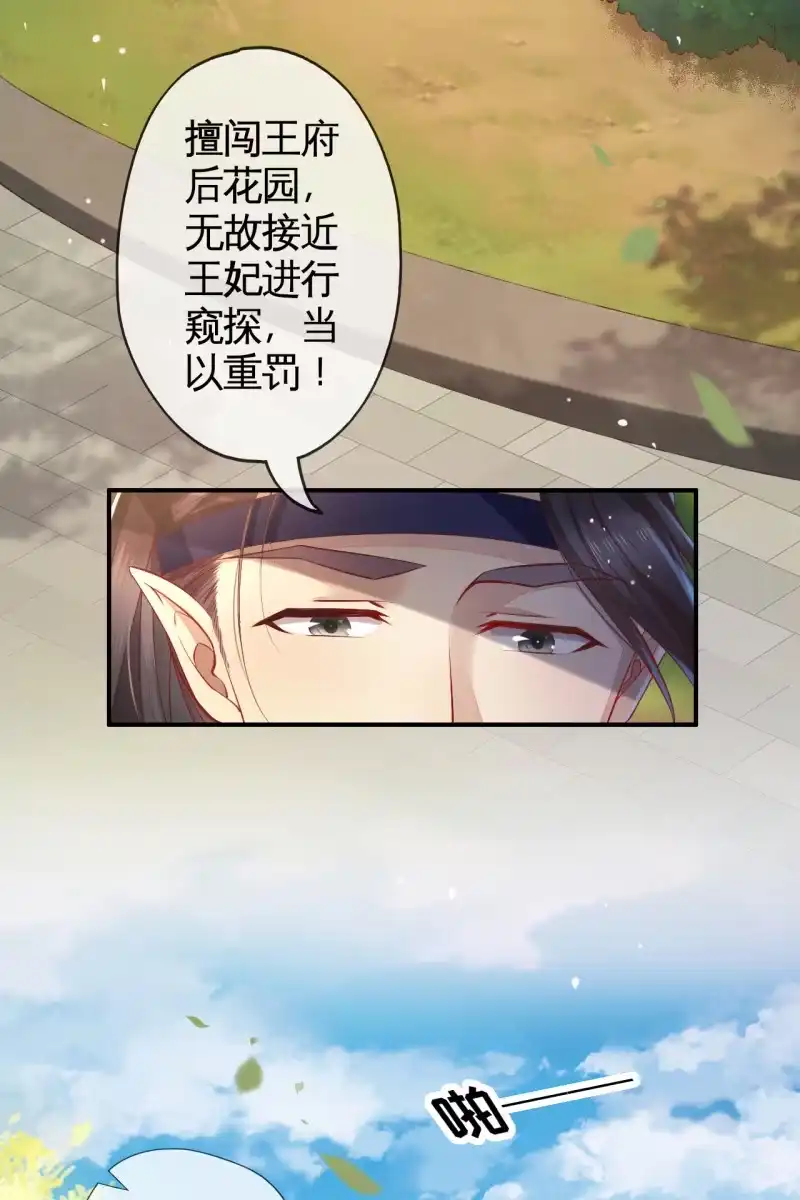 《半妖王妃》危机四伏 第23页