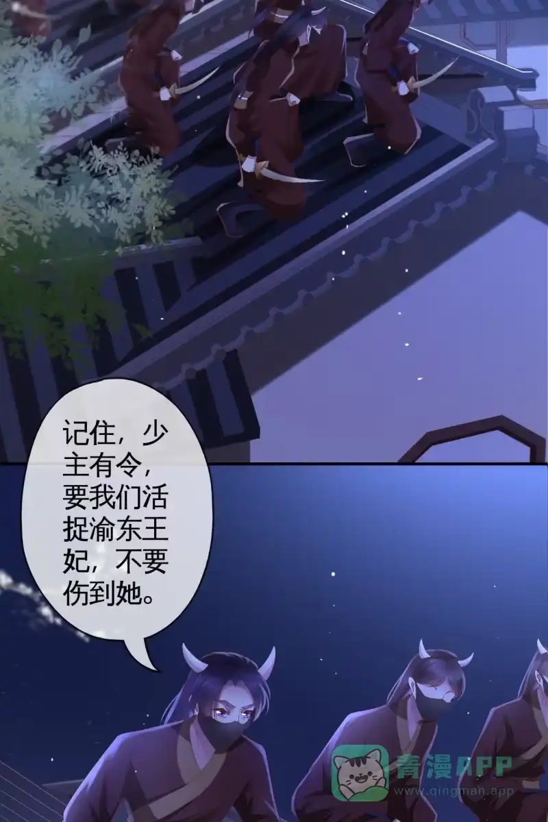 《半妖王妃》活捉渝东王妃 第6页