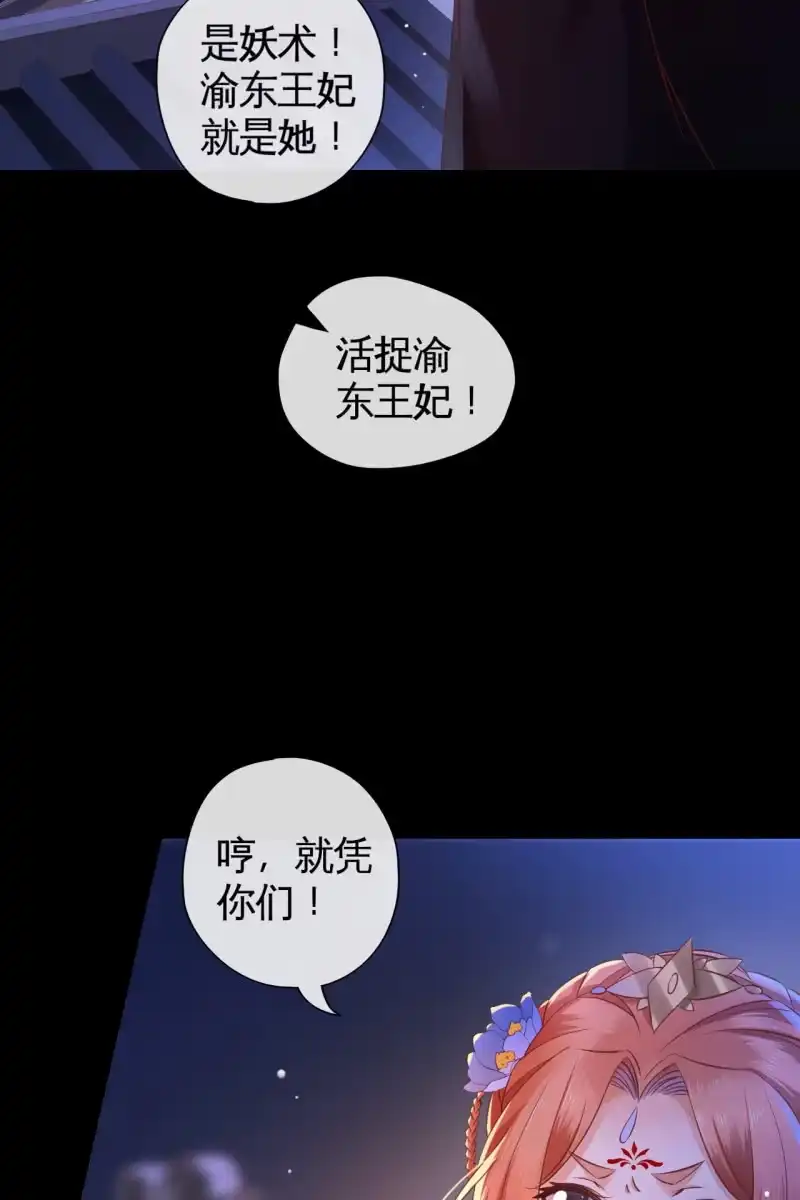 《半妖王妃》活捉渝东王妃 第28页