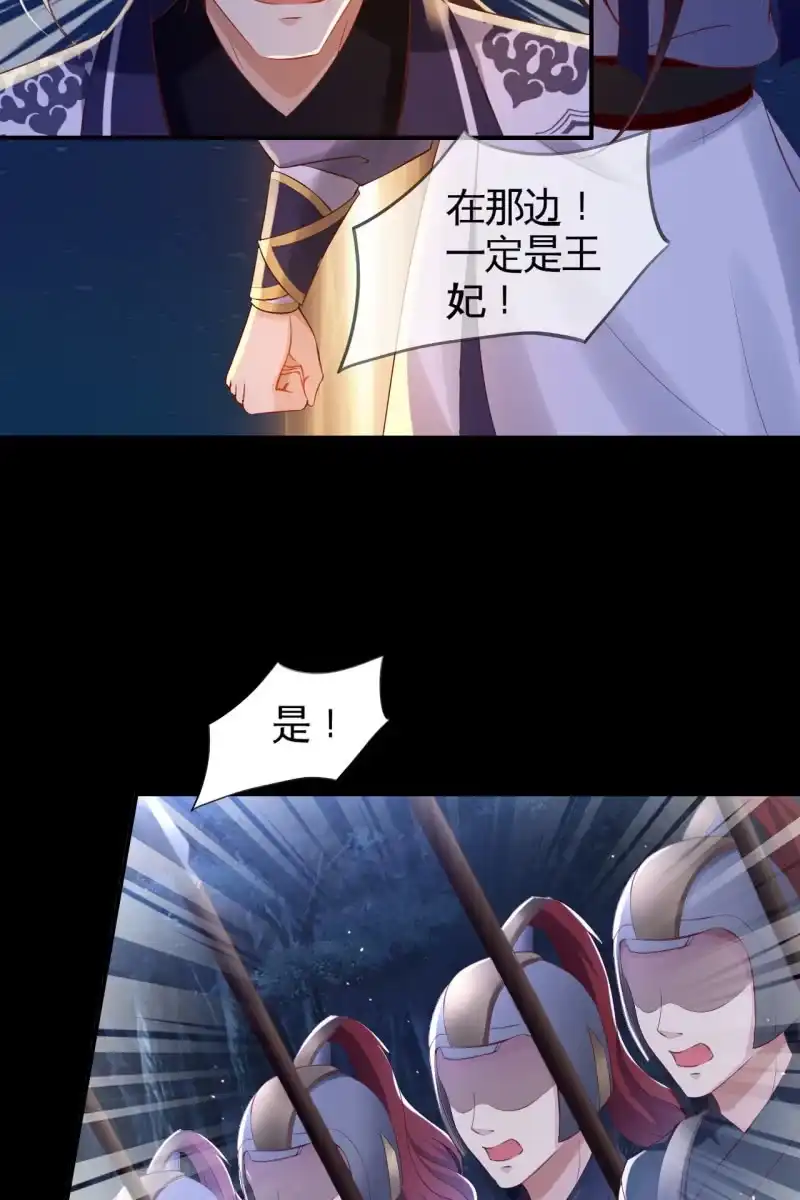 《半妖王妃》危机 第28页