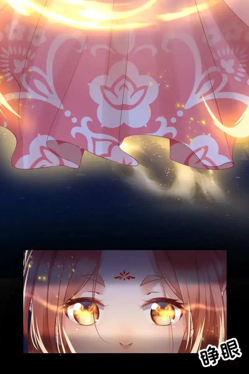 《半妖王妃》危机 第24页
