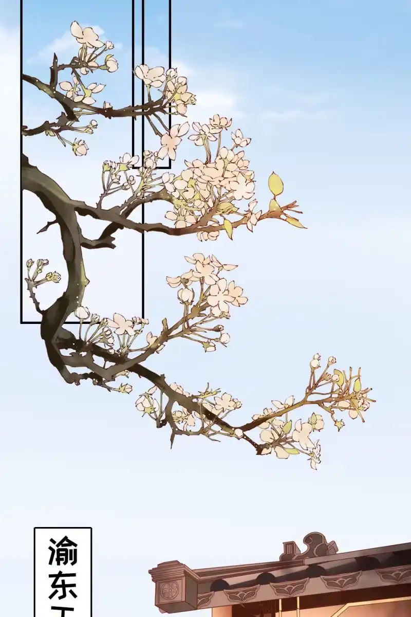 《半妖王妃》我要去找他 第14页