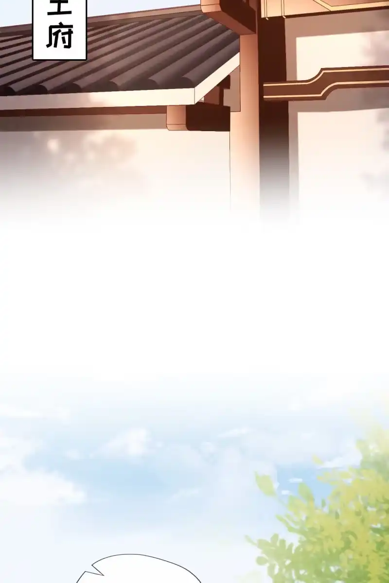 《半妖王妃》我要去找他 第15页