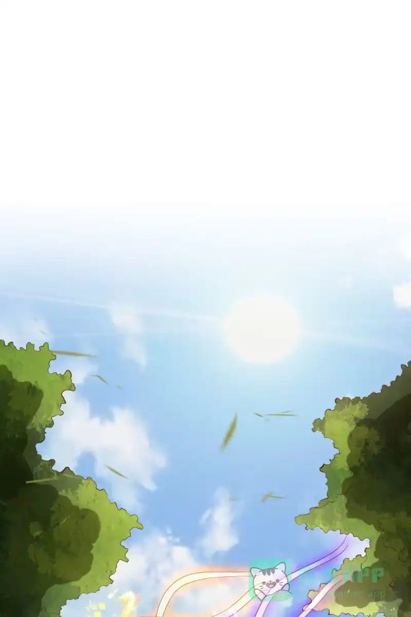 《半妖王妃》鹤云重伤 第31页