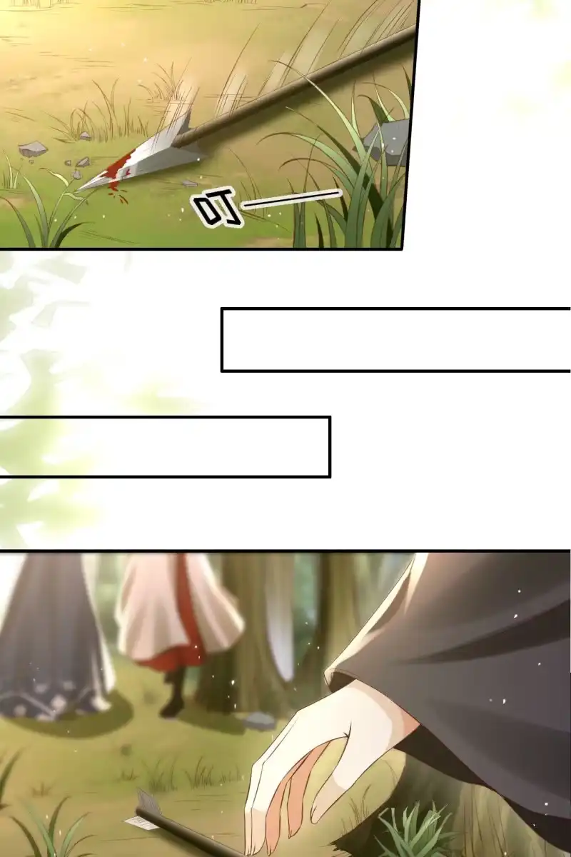《半妖王妃》鹤云重伤 第20页
