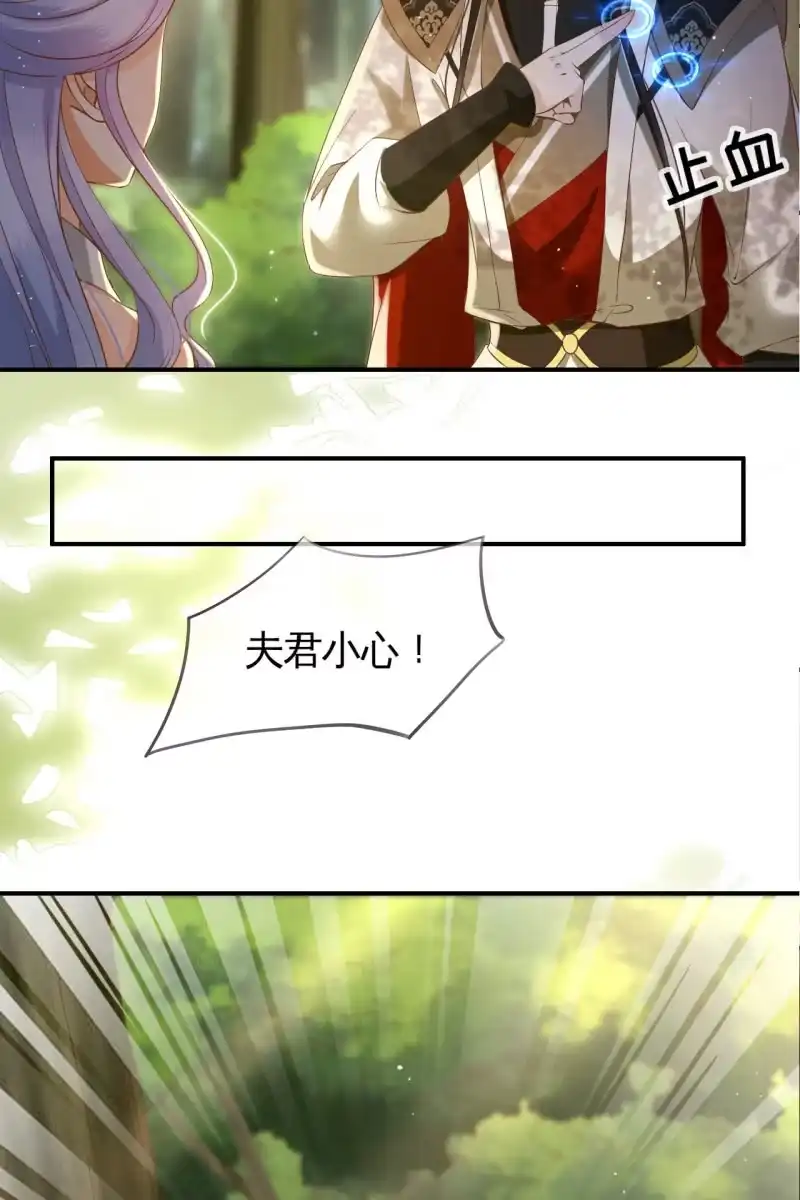 《半妖王妃》鹤云重伤 第22页