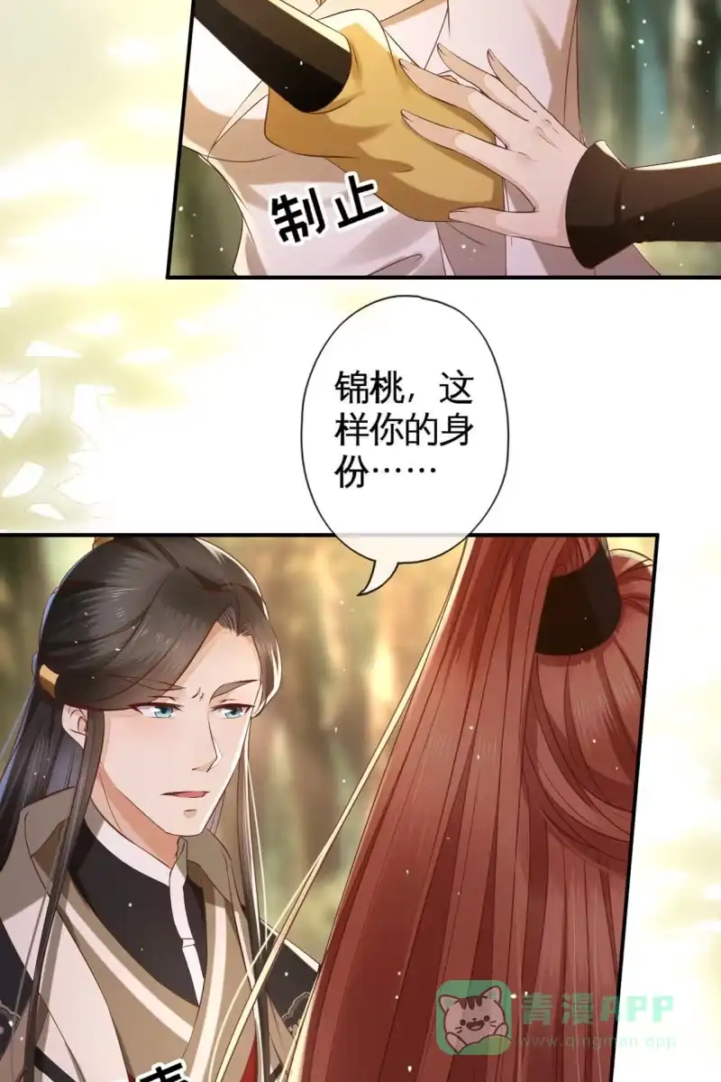 《半妖王妃》锦桃赶来 第26页