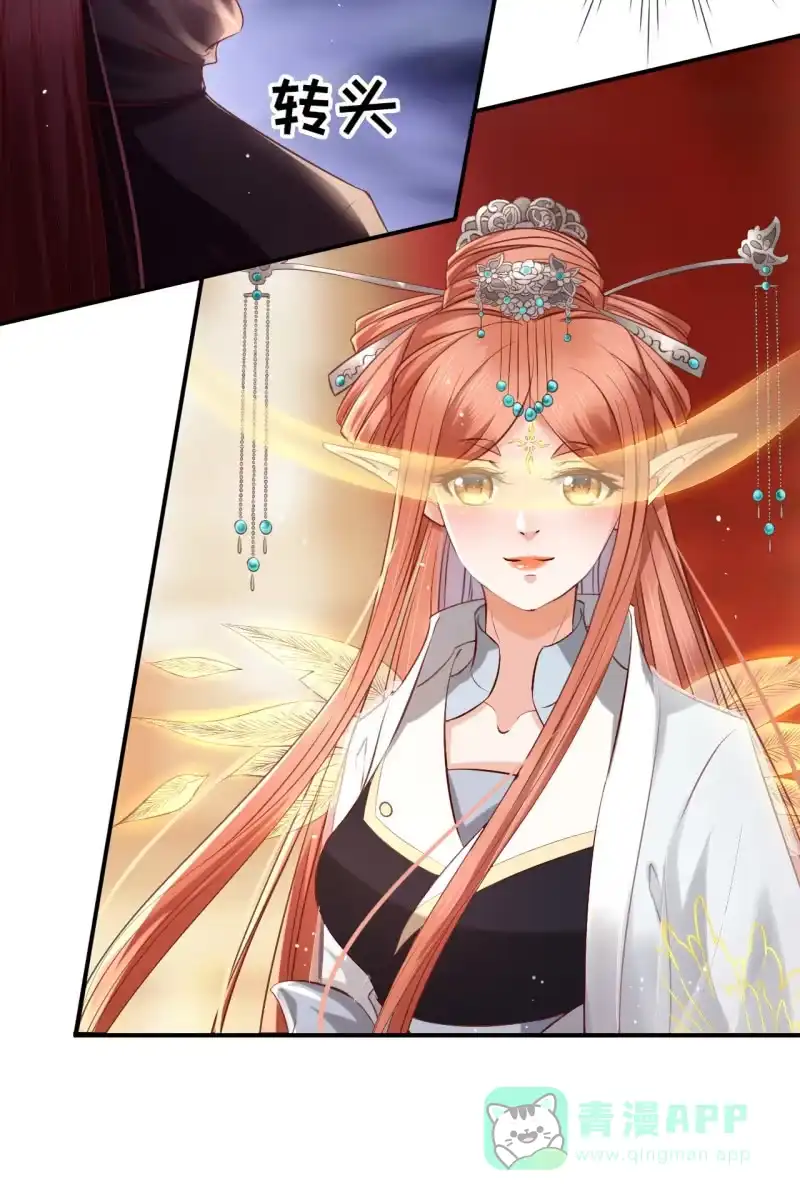 《半妖王妃》夫妻开挂 第26页
