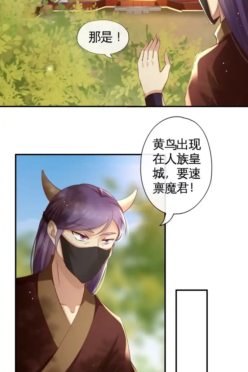 《半妖王妃》夫妻开挂 第7页