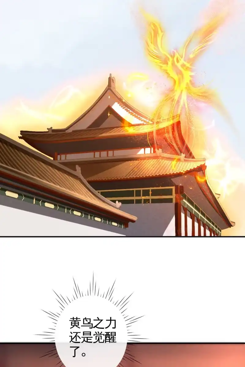 《半妖王妃》夫妻开挂 第4页