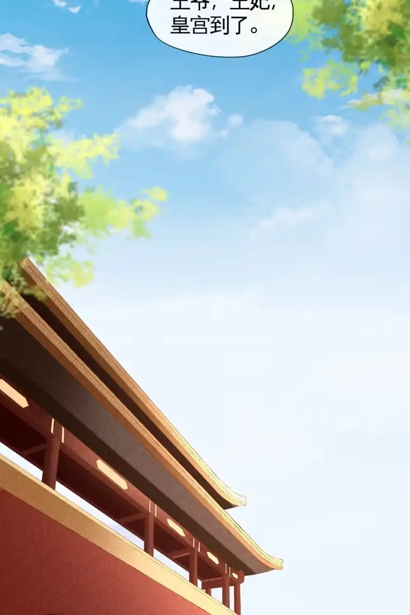 《半妖王妃》天下一注？！ 第3页