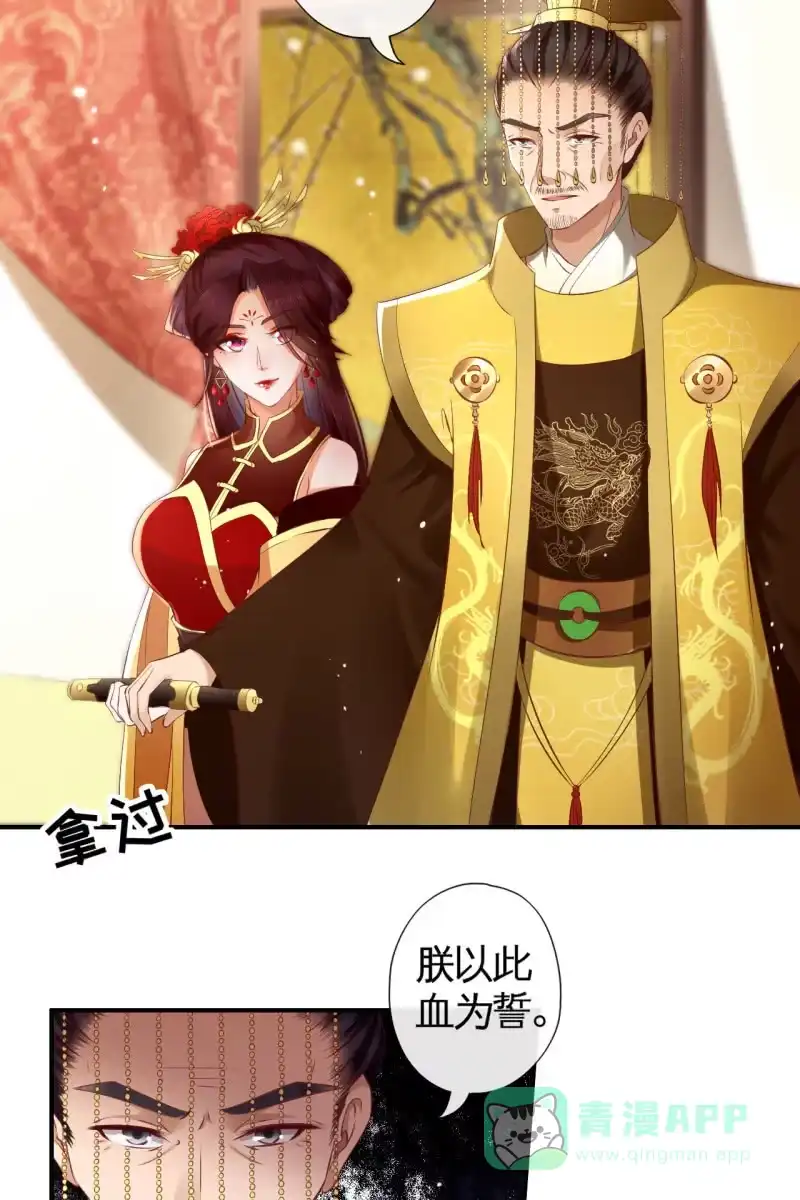 《半妖王妃》血誓背后的阴谋 第6页