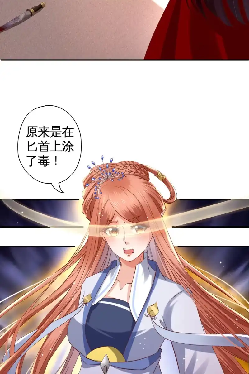《半妖王妃》血誓背后的阴谋 第28页