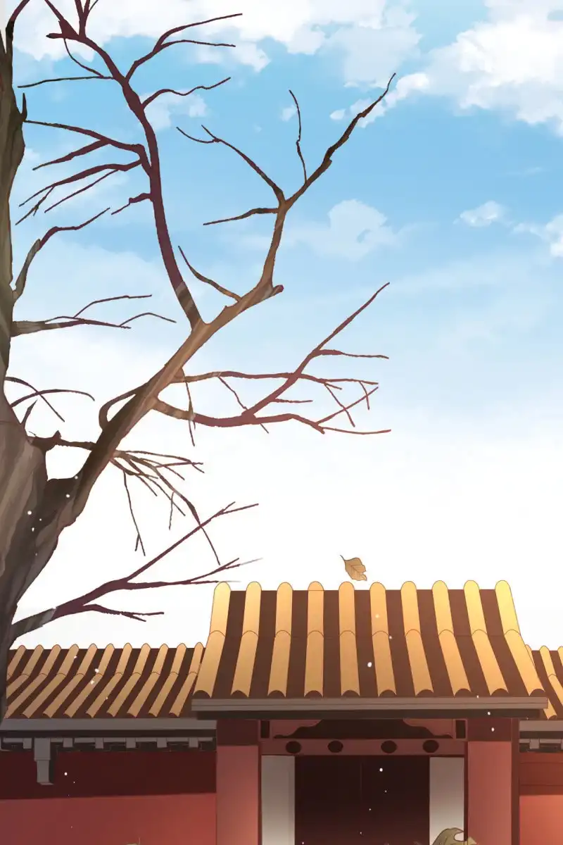 《半妖王妃》新皇登基 第18页