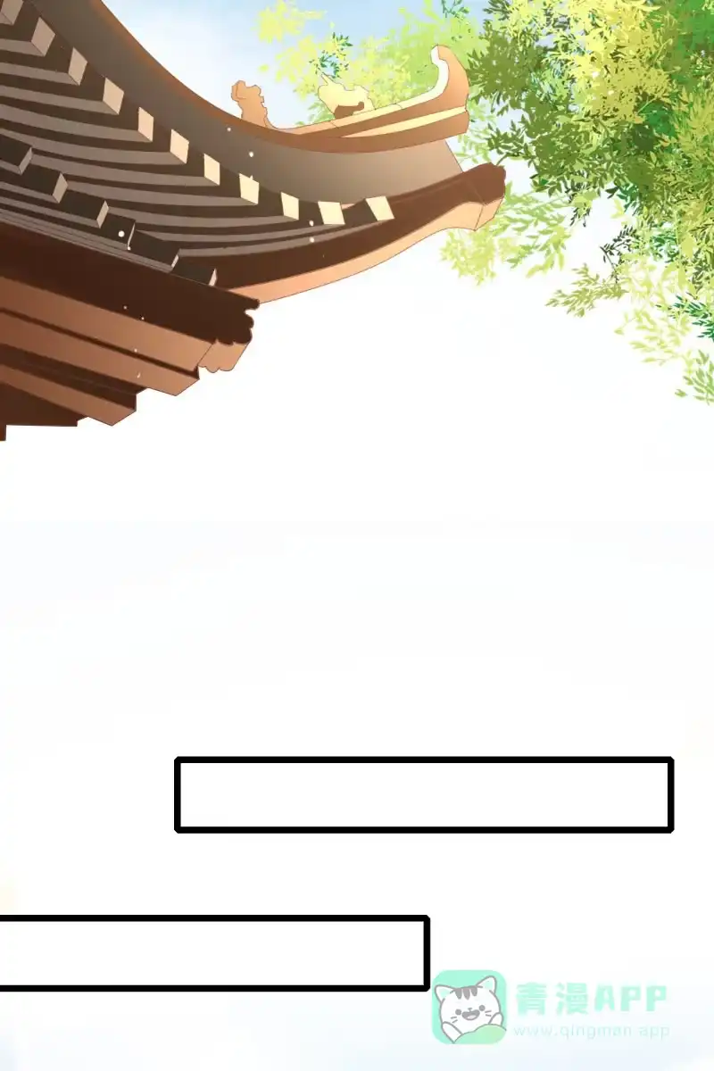 《半妖王妃》新皇登基 第11页