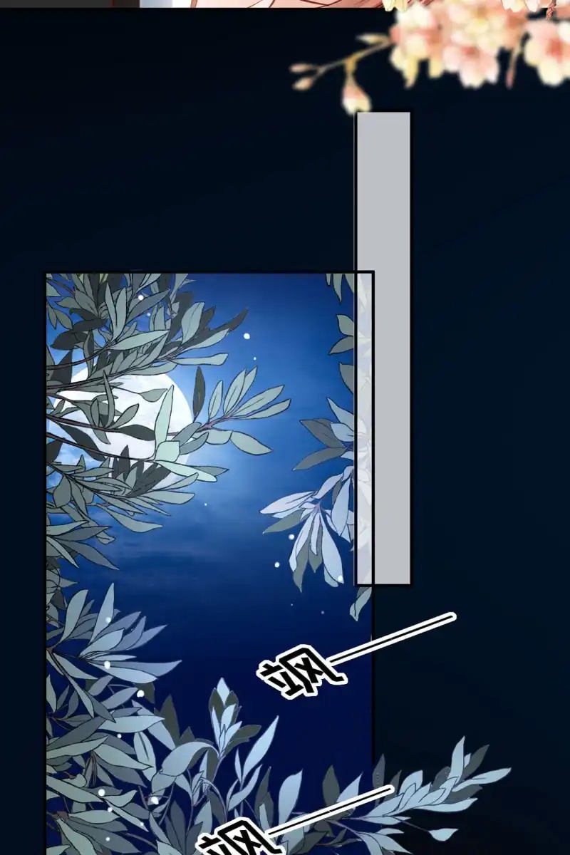《半妖王妃》平一波又起一波 第28页